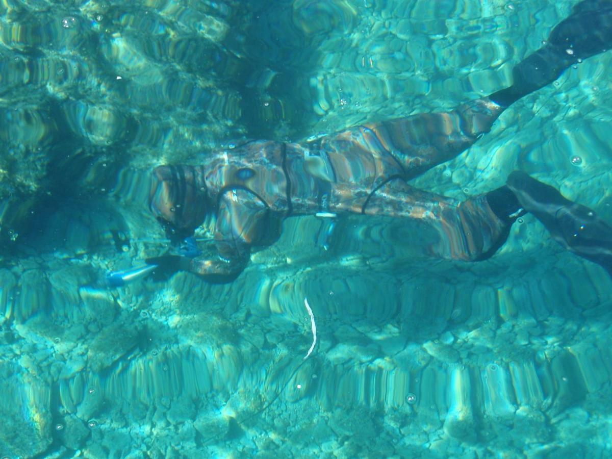Pacho Lägenhet Baška Voda Exteriör bild